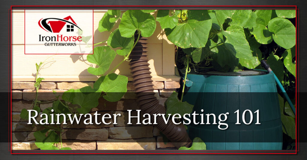 Rainwater-Harvesting-101-5b71d0f4f1165