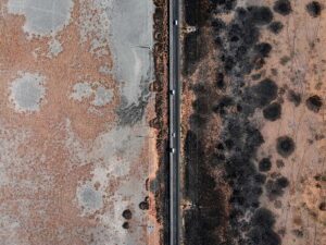 house mold