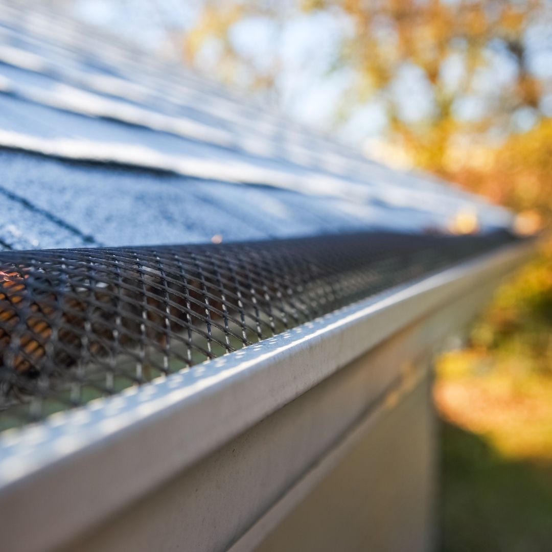 Gutter guard