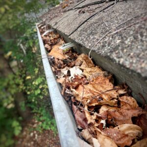 image of clogged gutters