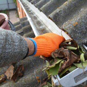 image of gutters being cleaned