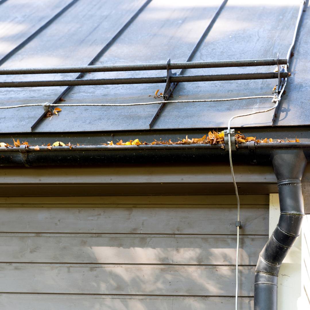 packed gutters with no guard