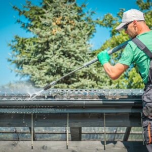 Cleaning the gutter system