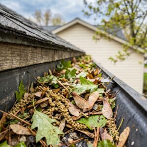 A close-up, top-down view of a gutter channel completely filled with spring debris, including green leaves, brown twigs, maple seeds, and oak tassels, with a house roof out of focus in the background.